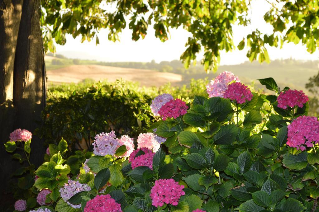 Agriturismo Cavazzone 레그나노 외부 사진